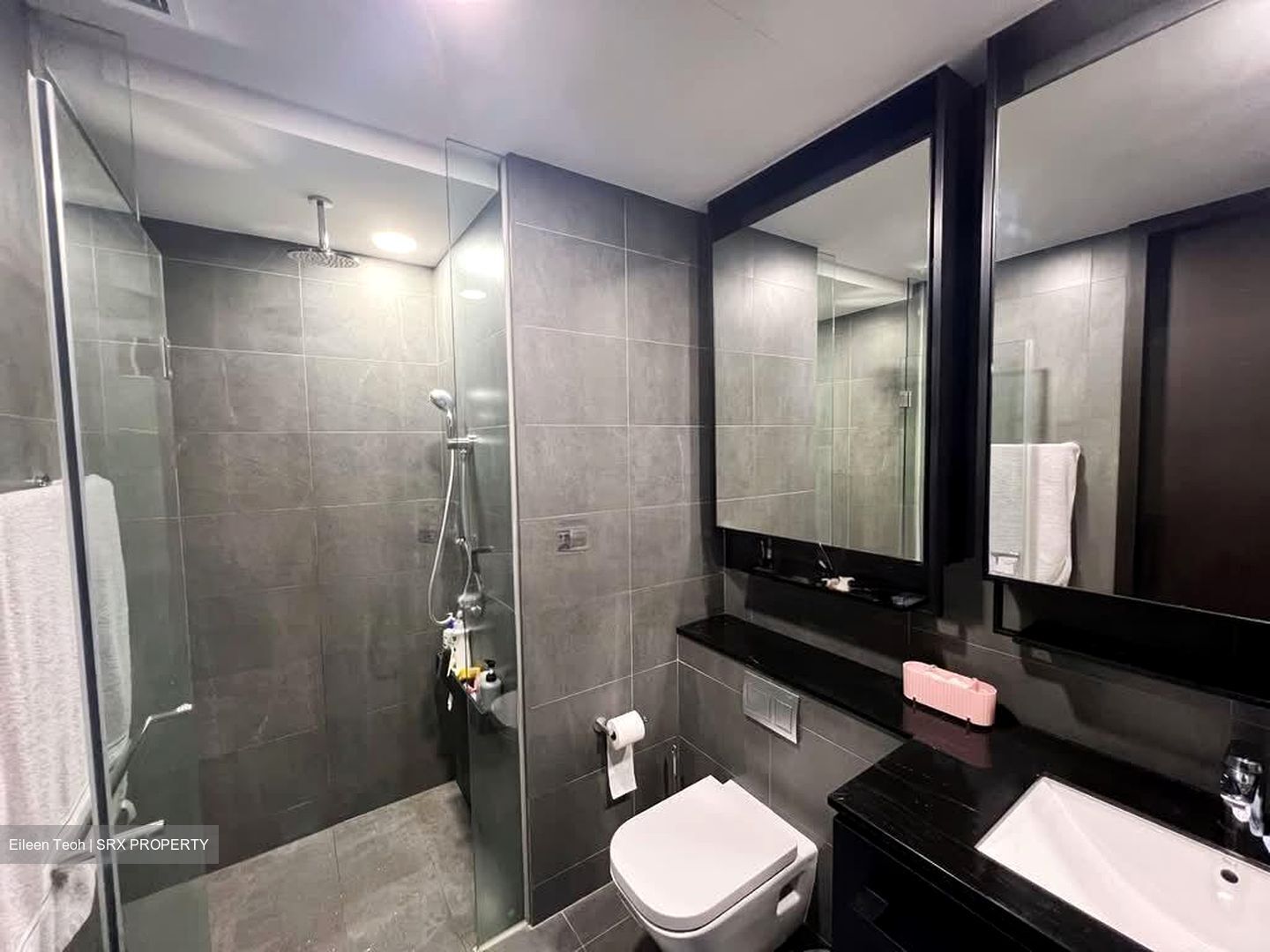 Park Colonial (D13), Condominium #537473491